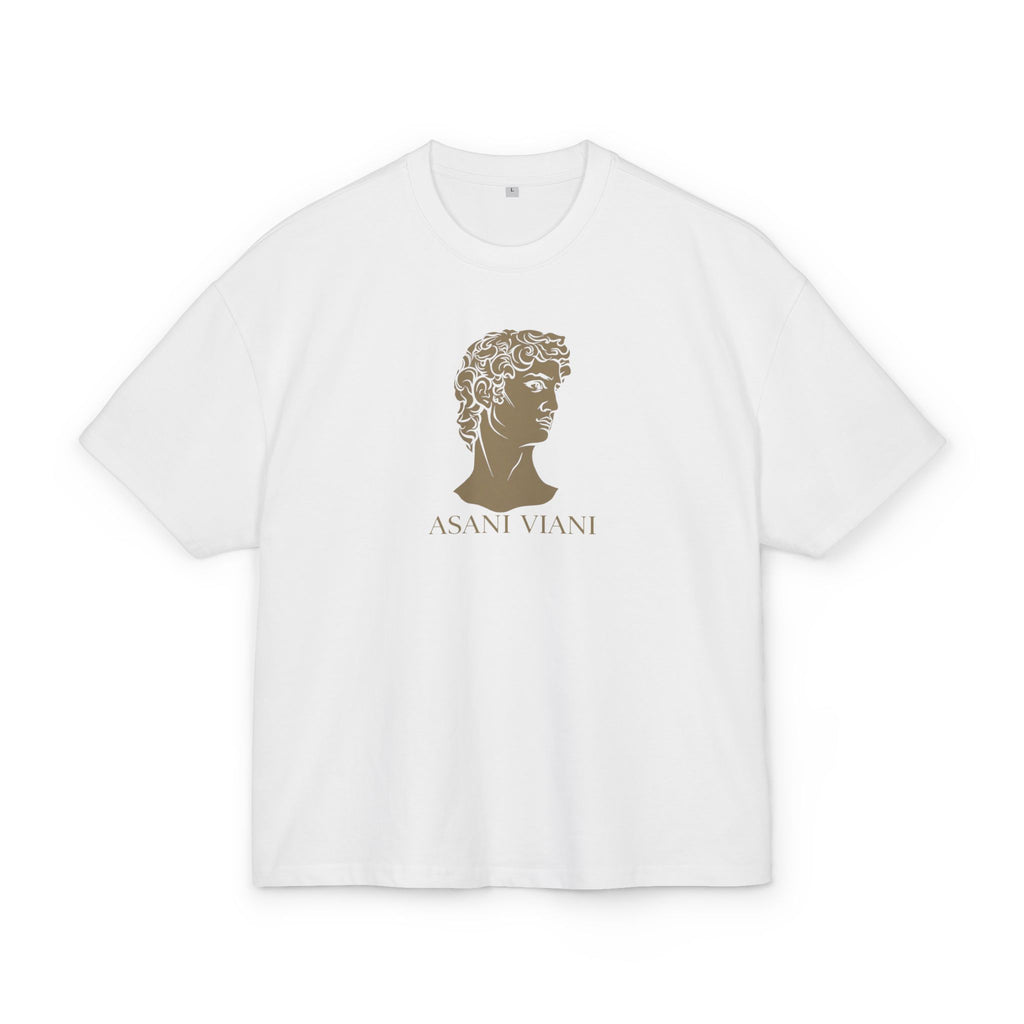'ASANI VIANI' Classical Sculpture Graphic box  T-Shirt