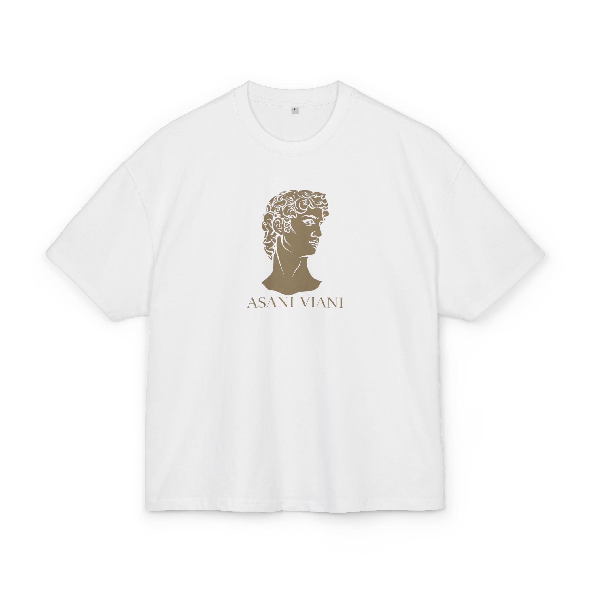 'ASANI VIANI' Classical Sculpture Graphic box  T-Shirt