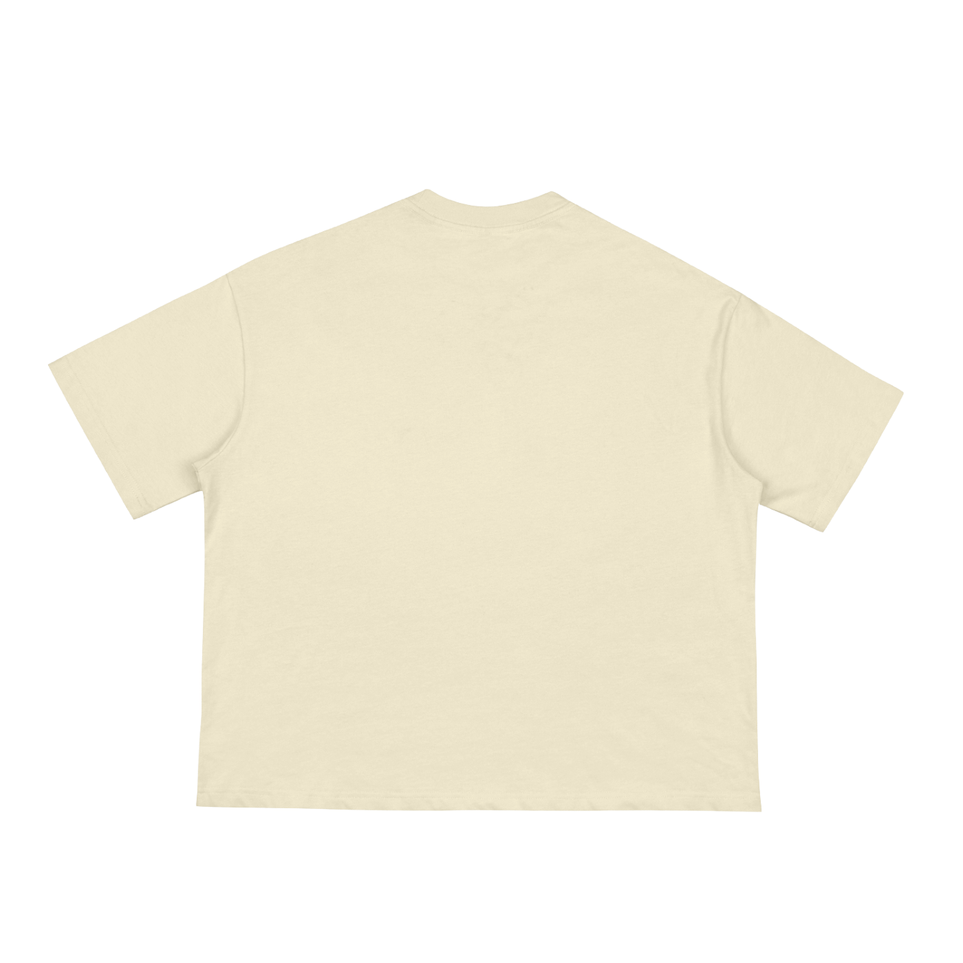 Asani Viani Graphic Boxy Tee